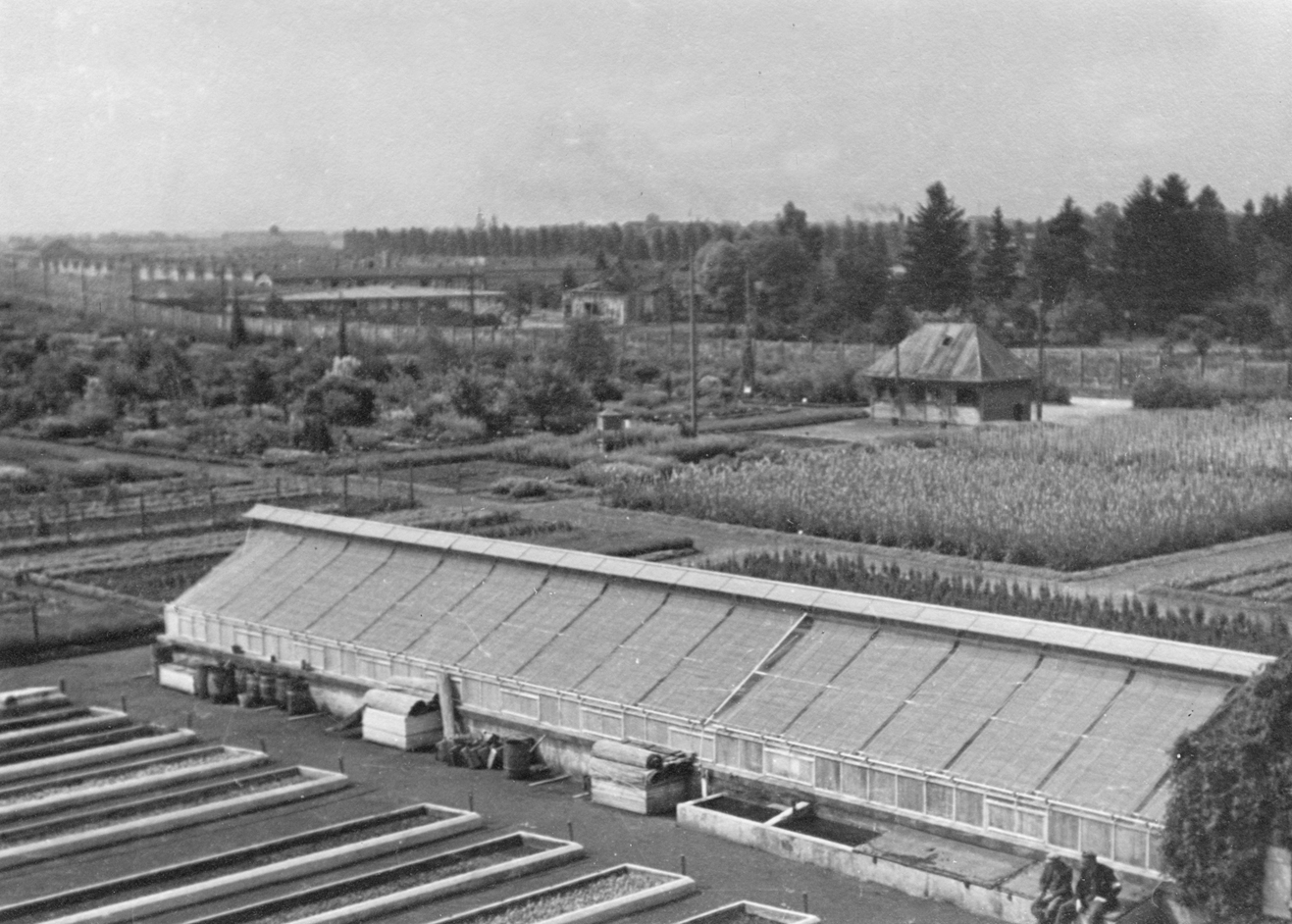 Plantage